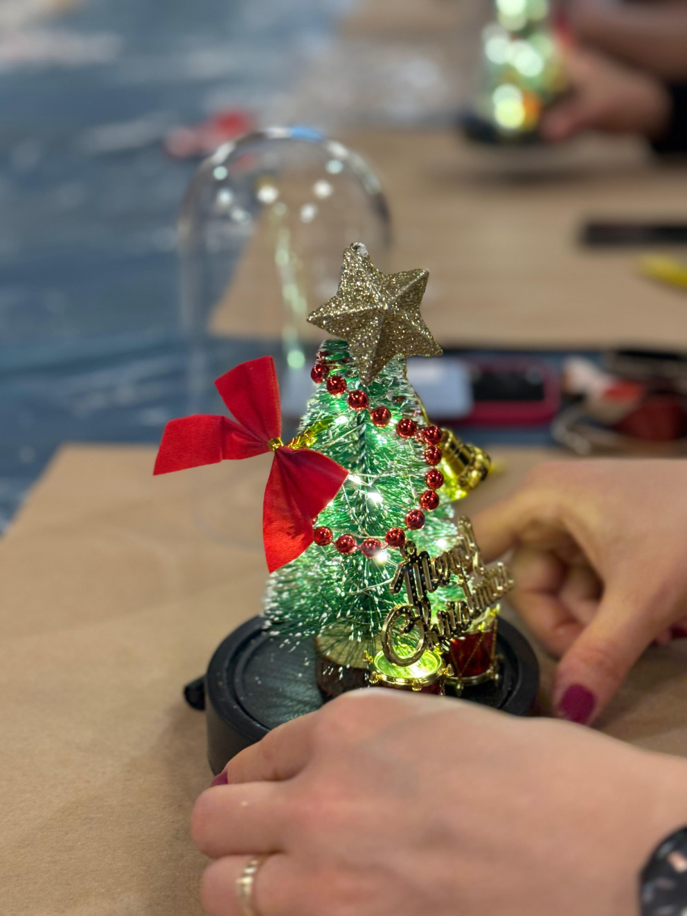 bosch - kar küresi (15)