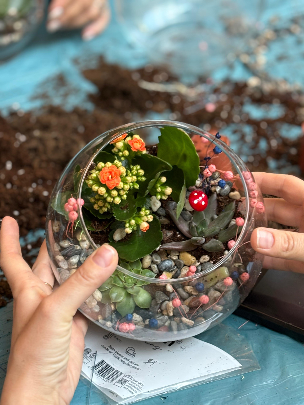 terraryum - kanyon (2)