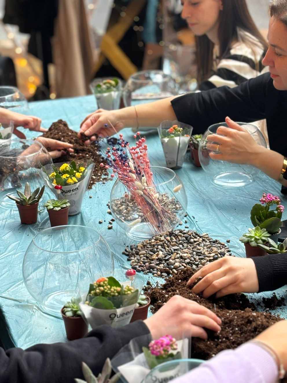 terraryum - kanyon (11)