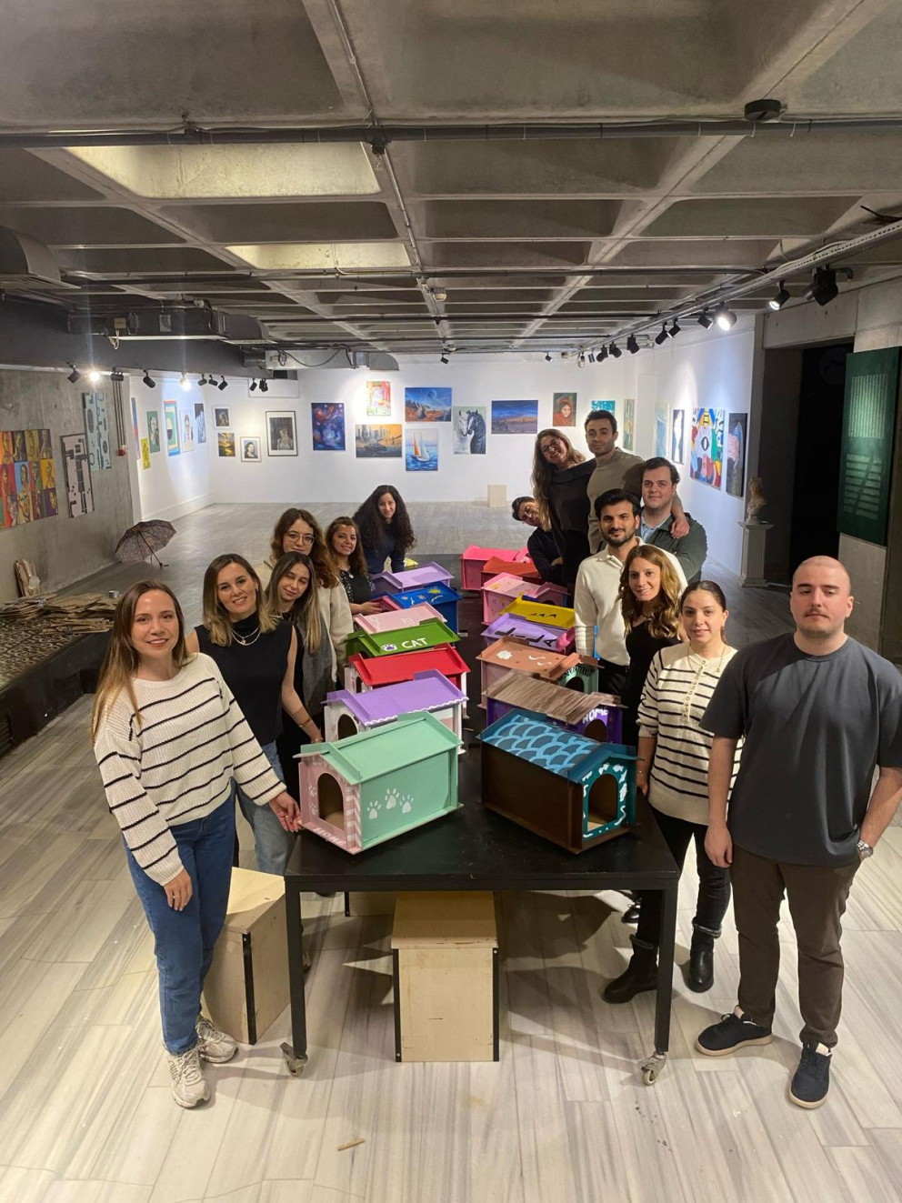 anadolu hayat emeklilik - kedi evi (6)