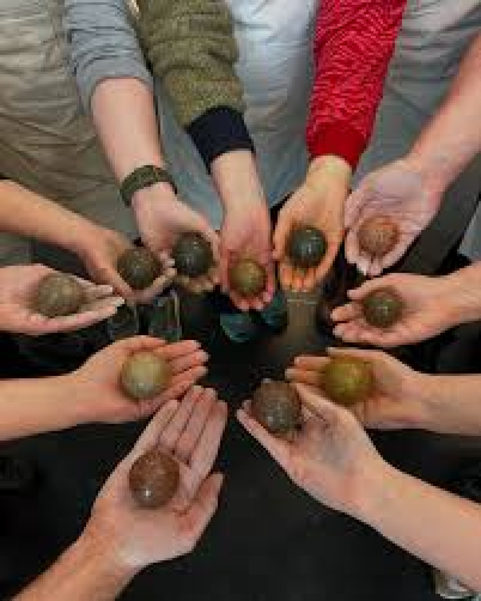 Hikaru Dorodango (2)