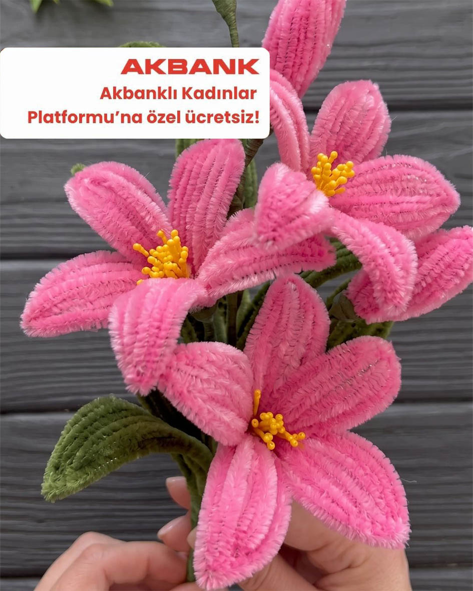 Akbanklı Kadınlar Platformu – Art Studio Serisi - Şönil Atölyesi